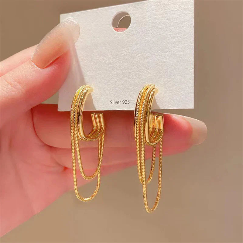 Light Luxury Minority High-grade Multi-layer Chain Long Fringe Earrings Women